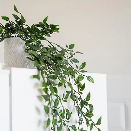 Apartment Catarina's Little Corner By Lovelystay *
