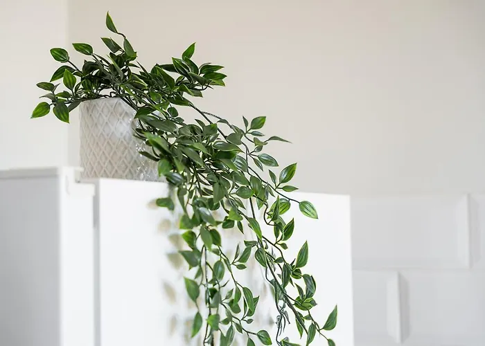 Lägenhet Catarina's Little Corner By Lovelystay *